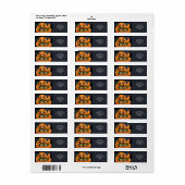 Fantasy Schattigee Oranje Snake Sushi Etiket (Full Sheet)