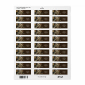 Fantasy Schattigee tovenaar Frying Pan Etiket (Full Sheet)