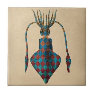  Fantasy Squid Tegeltje