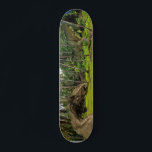 Fantasy T-Rex Tyrannosaurus Dragon gevecht Persoonlijk Skateboard<br><div class="desc">Dit ontwerp kan worden gepersonaliseerd door de aanpassingsoptie te kiezen om tekst toe te voegen of andere veranderingen aan te brengen. Als dit product de optie heeft om het ontwerp naar een ander object over te brengen, moet u het ontwerp zo nodig aanpassen. Neem contact met me op colorflowcreations@gmail.com als...</div>