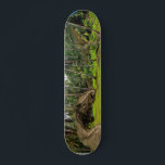 Fantasy T-Rex Tyrannosaurus Dragon gevecht Persoonlijk Skateboard<br><div class="desc">Dit ontwerp kan worden gepersonaliseerd door de aanpassingsoptie te kiezen om tekst toe te voegen of andere veranderingen aan te brengen. Als dit product de optie heeft om het ontwerp naar een ander object over te brengen, moet u het ontwerp zo nodig aanpassen. Neem contact met me op colorflowcreations@gmail.com als...</div>