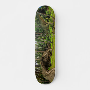Fantasy T-Rex Tyrannosaurus Dragon gevecht Persoonlijk Skateboard