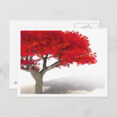 FANTASY TREE BRIEFKAART | T-shirt, Mok Digital Art (Voorkant / Achterkant)