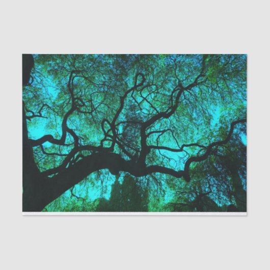 Fantasy Turquoise Tree Silhouette Tissuepapier (Voorkant)