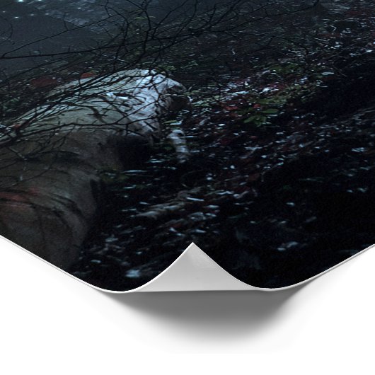 Fantasy Unicorn in Forest Poster (Hoek)