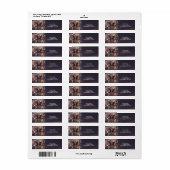 Fantasy Vlinder Goud Glans Etiket (Full Sheet)