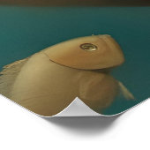 Fantasy Vrouw Badend Onder de Oceaan Poster (Hoek)