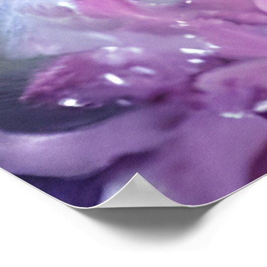 Fantasy White Baby Fox met lavendelogen Poster (Hoek)