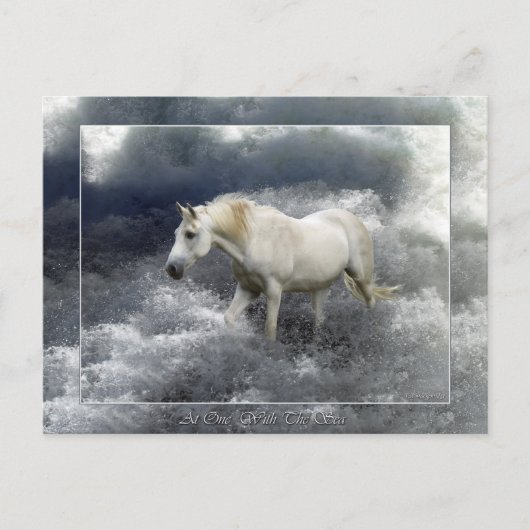Fantasy White Horse and Ocean Surf Gifts Briefkaart (Voorkant)