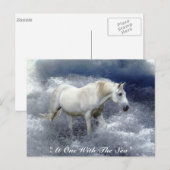 Fantasy White Horse and Ocean Surf Gifts Briefkaart (Voorkant / Achterkant)