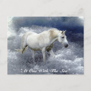 Fantasy White Horse and Ocean Surf Gifts Briefkaart