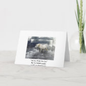Fantasy White Horse & Ocean Dank u kaarten (Achterkant)