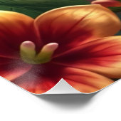 Fantasy White Parrot Perfect Poster (Hoek)