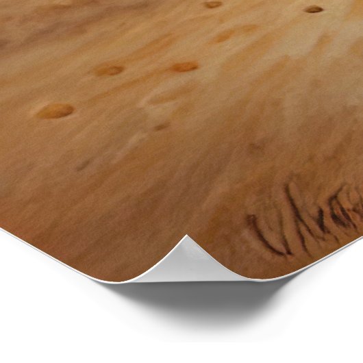 Fantasy Yorkshire Terrier Surreal Dog Art Poster (Hoek)