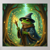 FantasyFrogWizard Poster (Voorkant)