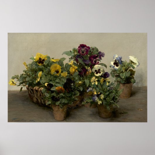 Fantin-Latour - Pansies Poster (Voorkant)