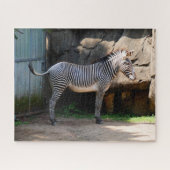 Farage Zebra Jigzaag Puzzle Legpuzzel (Horizontaal)