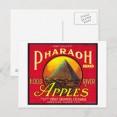 Farao Apple Crate LabelHood River, OF Briefkaart (Voorkant / Achterkant)
