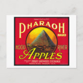Farao Apple Crate LabelHood River, OF Briefkaart (Voorkant)