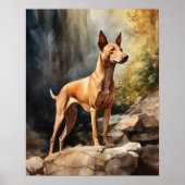Farao Dog Art Print Poster (Voorkant)