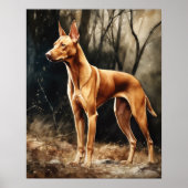 Farao Dog Art Print Poster (Voorkant)