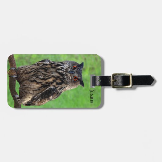 Farao Eagle Owl Bagagelabel (Voorkant horizontaal)