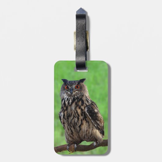 Farao Eagle Owl Bagagelabel (Achterkant verticaal)