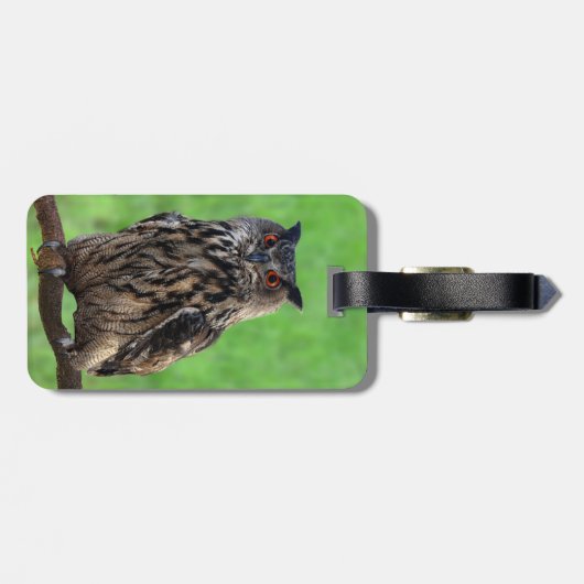 Farao Eagle Owl Bagagelabel (Achterkant horizontaal)
