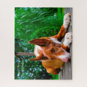 Farao Hound Dog. Legpuzzel (Verticaal)