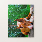 Farao Hound Dog. Legpuzzel (Verticaal)