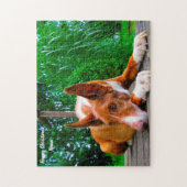 Farao Hound Dog. Legpuzzel (Verticaal)