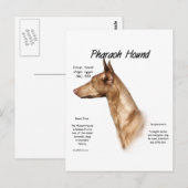 Farao Hound Geschiedenis Ontwerp Briefkaart (Voorkant / Achterkant)