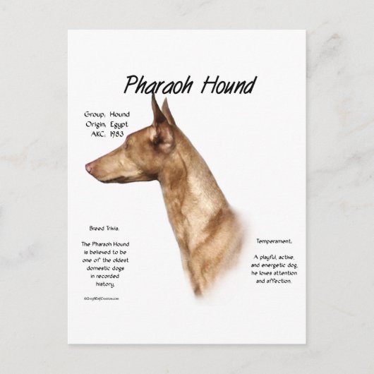 Farao Hound Geschiedenis Ontwerp Briefkaart (Voorkant)