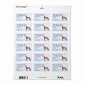 Farao Hound op Blue Gingham Etiket (Full Sheet)