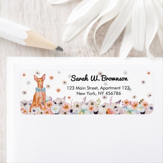 Farao Malta Dog Etiket (Insitu)