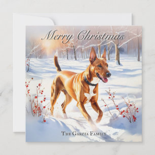Faraoh Hond in Wintersneeuw Kerstmis Feestdagenkaart