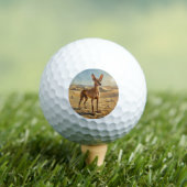 Faraohond Golfballen (Insitu Shirt)