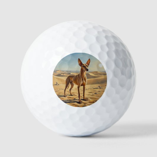 Faraohond Golfballen (Voorkant)