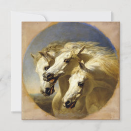 Farao's Horses 1848 JF Haring, SR Hi-Def Kaart