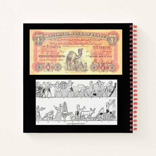 "Farao's kat" Notitieboek (Achterkant)