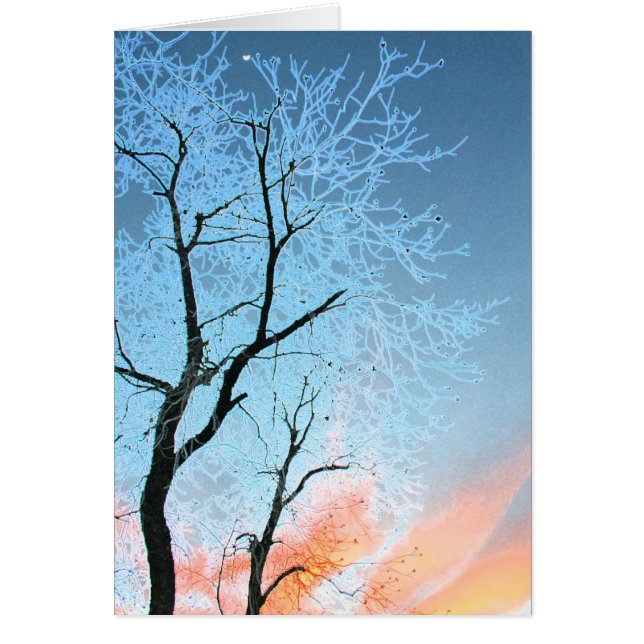 Faraway Moon (Voorkant)