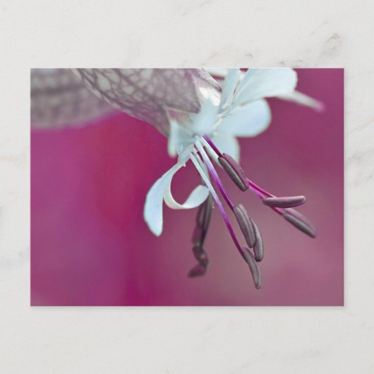 Farbenfroh Briefkaart (Voorkant)