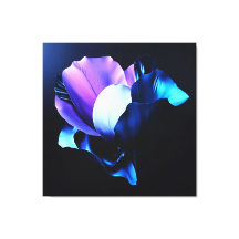 Farbig Strahlende Blüten in Dunkelheit