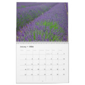 Farbzauber Lavendel Kalender (Jan 2026)