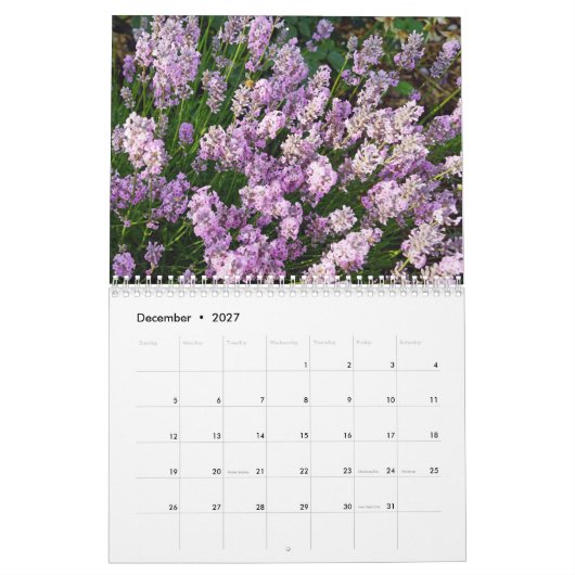 Farbzauber Lavendel Kalender (Dec 2027)