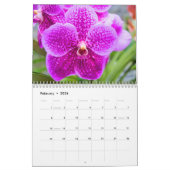 Farbzauber Orchideen Kalender (Feb 2026)