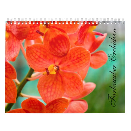Farbzauber Orchideen Kalender (Hoes)