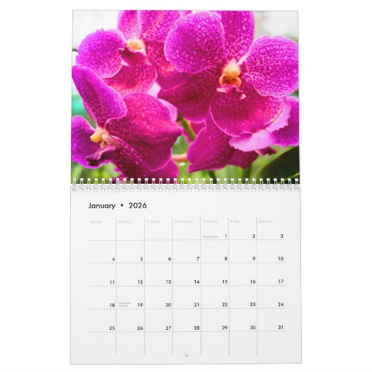 Farbzauber Orchideen Kalender (Jan 2026)