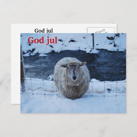 Fåret Fjun julkort Briefkaart (Voorkant / Achterkant)