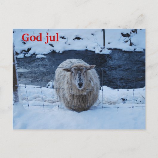 Fåret Fjun julkort Briefkaart (Voorkant)
